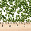 Baking Paint Glass Seed Beads SEED-S042-05A-21-4