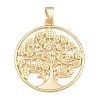 Alloy Big Pendants AL-CBA1187-03B-MG-1