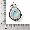 Tibetan Style Alloy & Acrylic Pendants FIND-B058-04AS-02-3