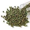 TOHO Round Seed Beads X-SEED-TR08-1702-1