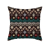 Boho Cloth Pillow Covers PW24060625891-1