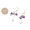 2 Pairs Natural Amethyst & Lapis Lazuli Dangle Earrings EJEW-JE06829-5