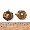 Natural Tiger Eye Faceted Pendants GG-CBA67BD-01G-L-3