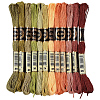 6-Ply Polyester Embroidery Floss OCOR-CY0004-40C-1