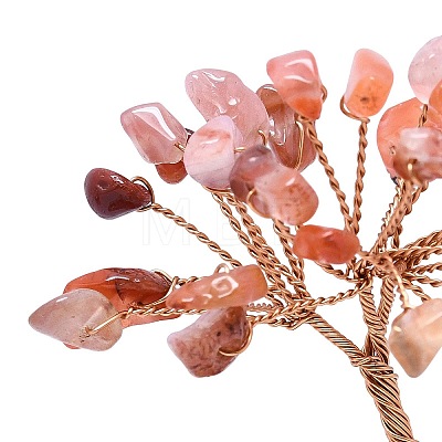 Natural Carnelian Chip Pachira Glabra Display Decorations DJEW-K025-04G-1