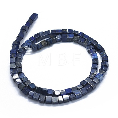 Natural Lapis Lazuli Beads Strands G-F631-C10-1