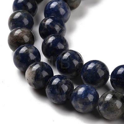 Natural Sodalite Beads Strands G-D481-12C-1