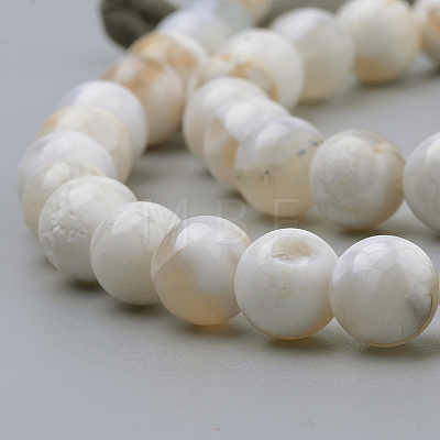 Natural Weathered Agate Beads Strands G-S249-09-8mm-1