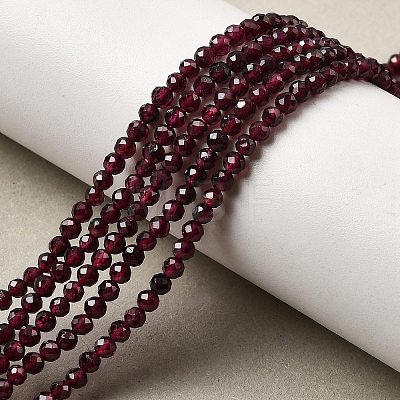 Natural Garnet Beads Strands G-I341-09B-01-1