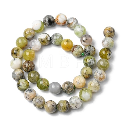 Natural Green Opal Beads Strands G-C029-02B-1