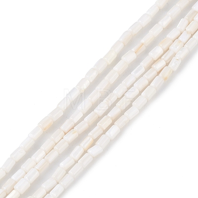 Natural Freshwater Shell Dyed Beads Strands SHEL-M018-12-12-1