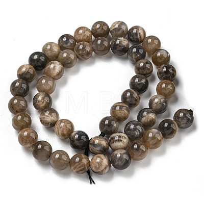 Natural Black Moonstone Beads Strands G-Q183-A01-01-1