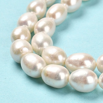 Natural Cultured Freshwater Pearl Beads Strands PEAR-E016-193-1