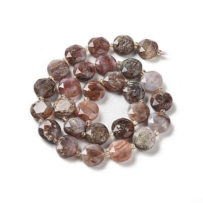 Natural Fire Agate Beads Strands G-NH0004-018-1
