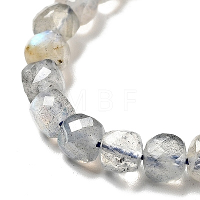 Natural Labradorite Beads Strands G-D470-10-1