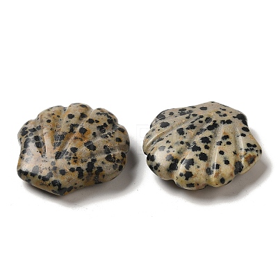 Natural Dalmatian Jasper Carved Healing Shell Figurines G-K353-03H-1