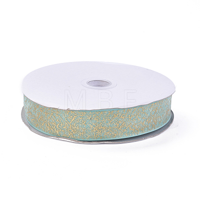 Nylon Organza Ribbon SRIB-I004-03G-1