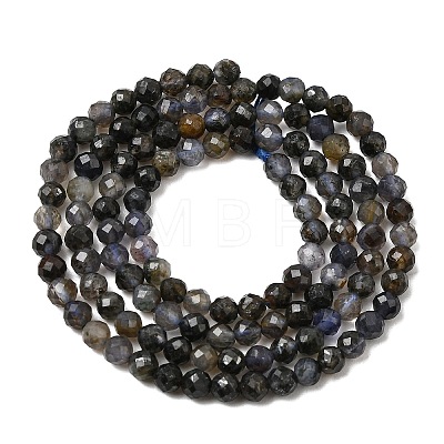 Natural Iolite Beads Strands G-G343-B01-3mm-1