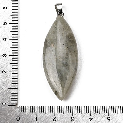 Natural Labradorite Big Pendants G-F820-06A-1