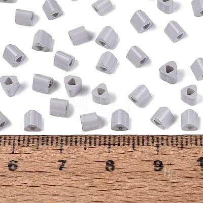 FGB Baking Paint Glass Seed Beads SEED-Q040-09A-17-1
