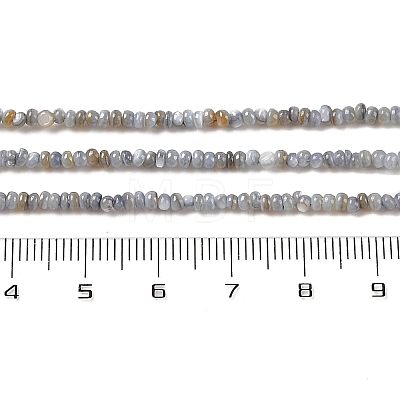Natural Freshwater Shell Beads Strands X-SHEL-P017-01A-13-1