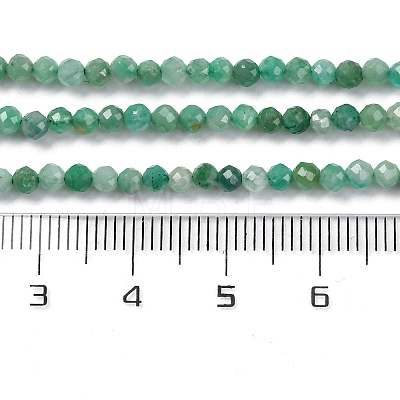 Natural Emerald Beads Strands G-P514-A01-02-1