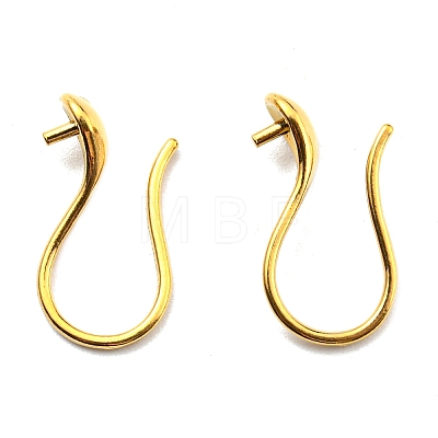 316 Surgical Stainless Steel Earring Hooks STAS-G310-02G-1