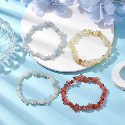 12 Constellation Natural Mixed Gemstone Chip Beaded Stretch Bracelets Sets for Women Men BJEW-JB10264-05-1