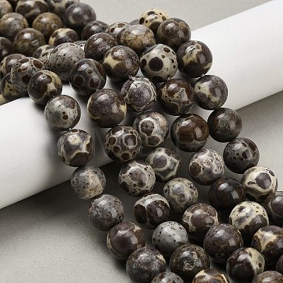 Natural Astroite Jasper Beads Strands G-F814-A01-10mm-1