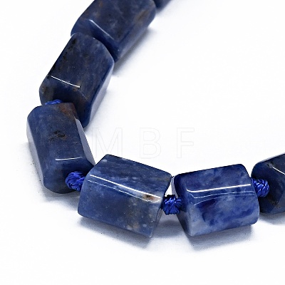 Natural Sodalite Beads Strands G-O170-101-1