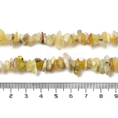 Natural Yellow Opal Chip Beads Strands G-G905-15-1