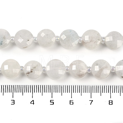 Natural Rainbow Moonstone Beads Strands G-B094-A06-01-1