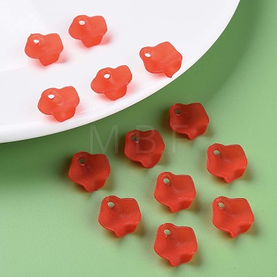 Transparent Acrylic Beads MACR-S373-106-D-1