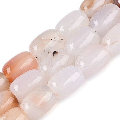 Natural Agate Beads Strands G-N356-02B-13-1