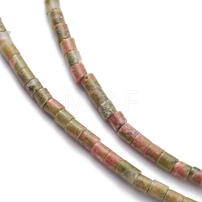 Natural Unakite Beads Strands G-H255-13-1