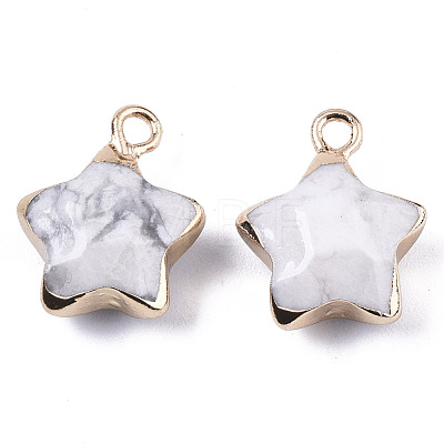 Natural Howlite Pendants G-N326-36L-1