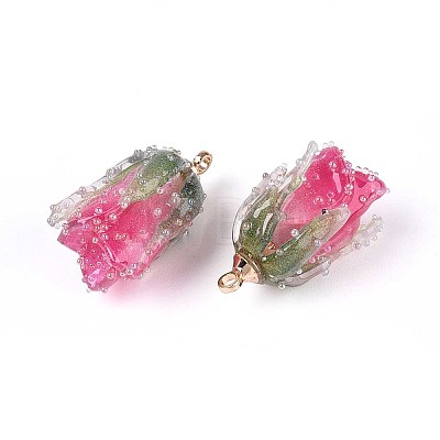 Transparent Acrylic Pendants SACR-T017-53C-1