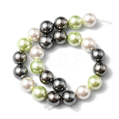 Shell Pearl Colorful Beads Strands BSHE-S605-8mm-M-1