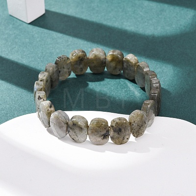 Natural Labradorite Faceted Beaded Stretch Bracelets for Women BJEW-K251-07L-1