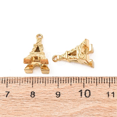 304 Stainless Steel Pendants STAS-K303-07B-G-1