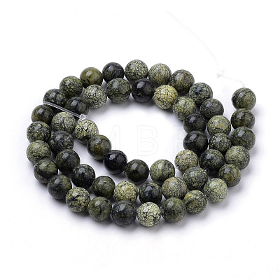 Natural Serpentine/Green Lace Stone Beads Strands X-G-S259-15-8mm-1