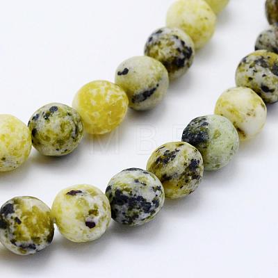 Natural Yellow Turquoise(Jasper) Beads Strands G-F518-25-8mm-1