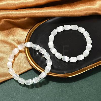 Dyed Natural Selenite Column Beaded Stretch Bracelets for Women BJEW-I312-05D-1