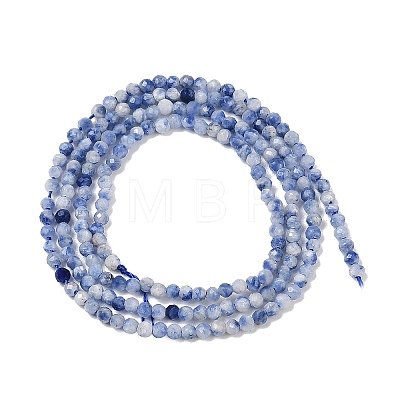 Natural Blue Spot Jasper Beads Strands G-A252-A02-01-1