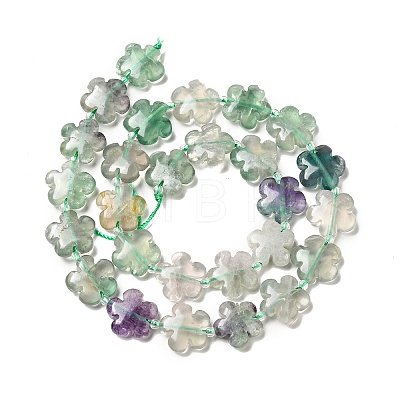 Natural Fluorite Beads Strands G-D475-02J-1