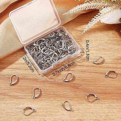 100Pcs 304 Stainless Steel Leverback Earring Findings STAS-BBC0001-55P-1