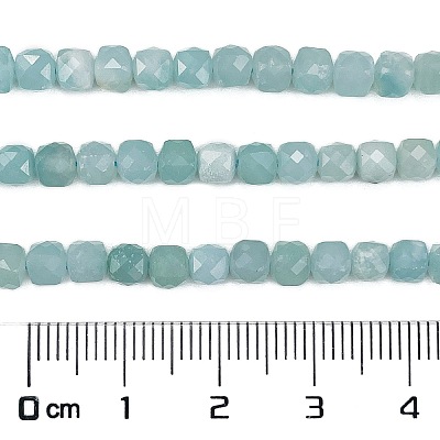 Natural Amazonite Beads Strands G-L587-C01-01-1