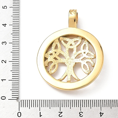 304 Stainless Steel Pendants LS-STAS-D207-27G-1