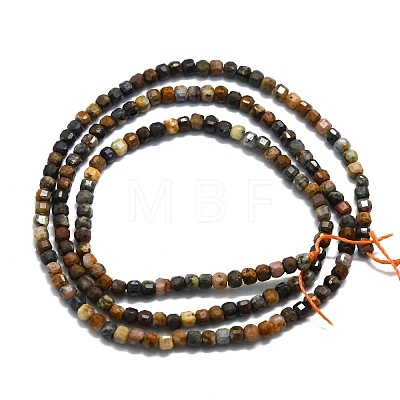 Natural Pietersite Beads Strands G-P457-B01-41-1