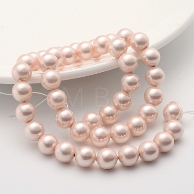 Shell Pearl Beads Strands SP10MM505-1